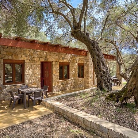 Stonehouse In Olives Apartment Ulcinj Luaran gambar