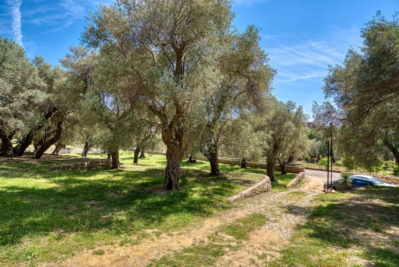 Stonehouse In Olives Apartment Ulcinj Luaran gambar