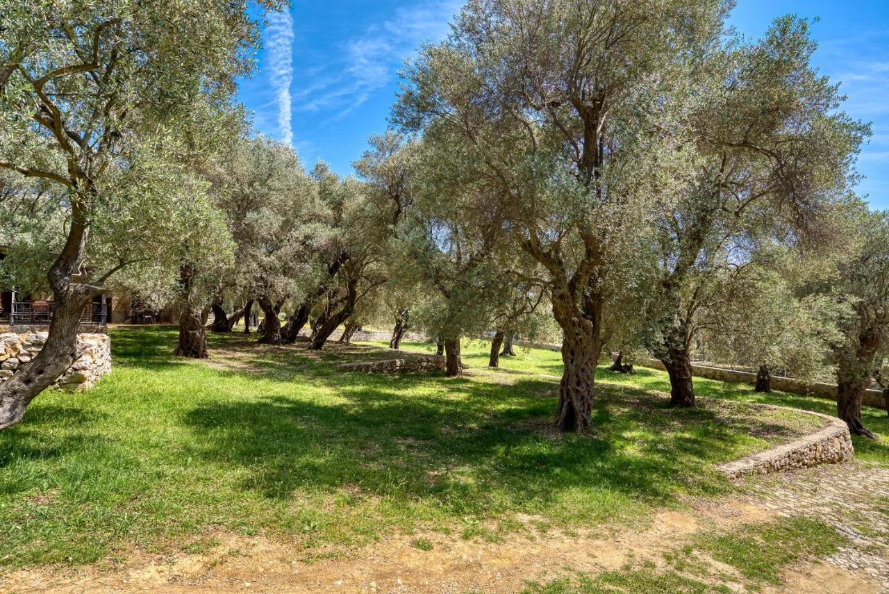 Stonehouse In Olives Apartment Ulcinj Luaran gambar