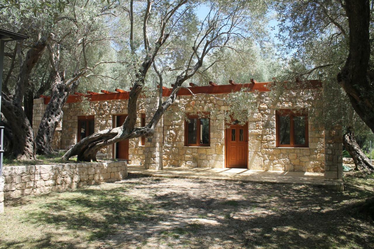 Stonehouse In Olives Apartment Ulcinj Luaran gambar